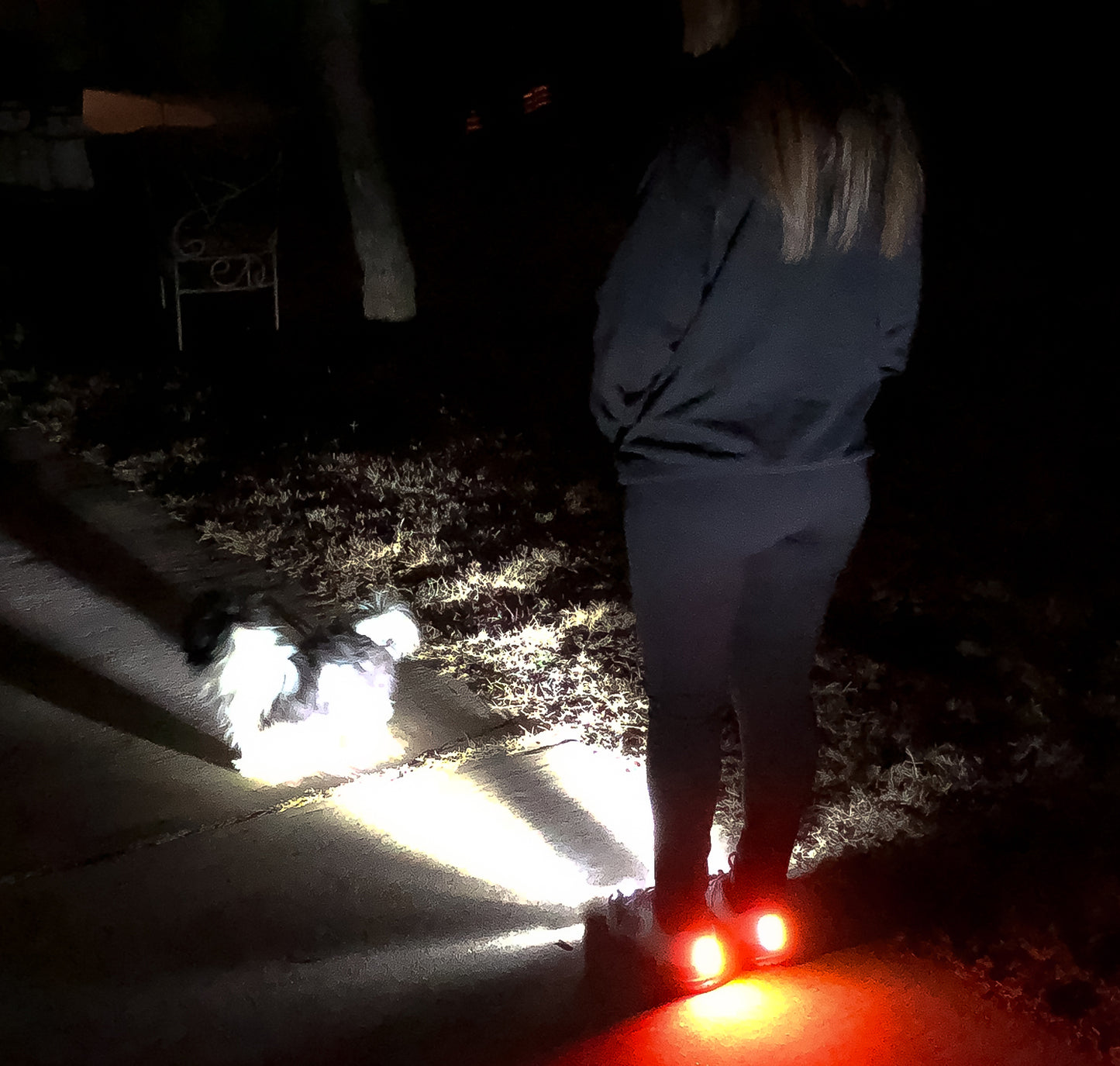 Men's Night Runner Shoes With Built-in Safety Lights